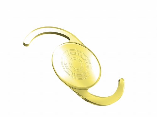 Triva_aAY-scaled (1) - 副本.jpg